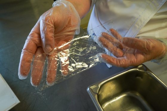 a person with plastic gloves on holding a sheet of gelatin